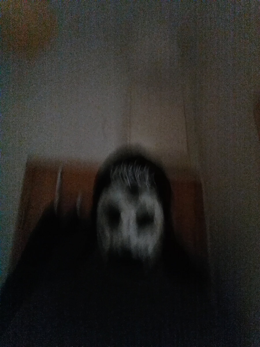 FaceSplit